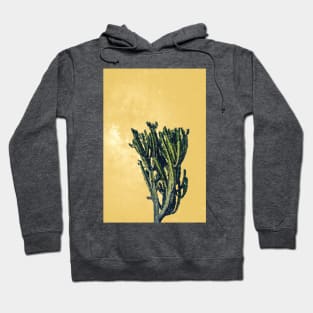 Cactus Yellow Mexican Desert Tropical Galaxy Hoodie